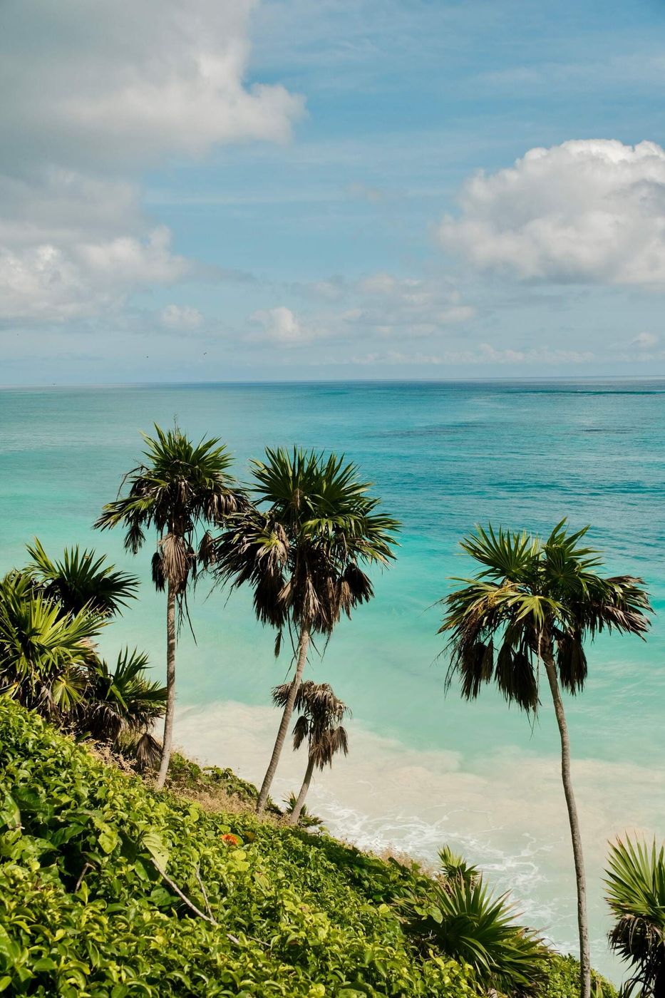 Selva sobre el mar turquesa de Tulum
