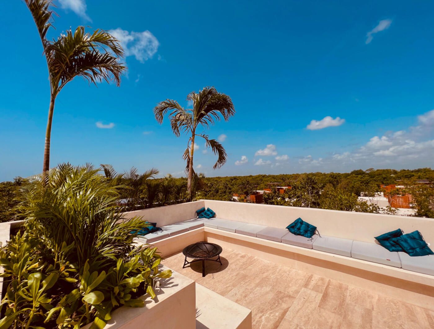El complejo Focus Tulum — rooftop y vista a la selva